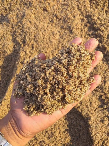 Brown Sand (Lal Balu)