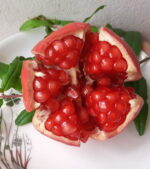 “Mexican Pomegranate” Plant – Grafted