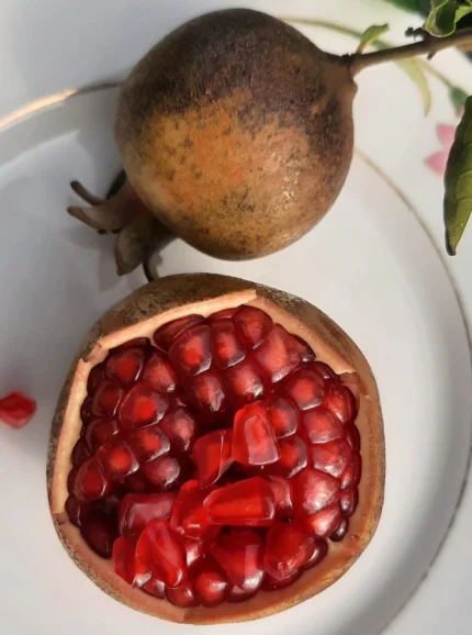 Phule Arakta (ফুলে আরক্তা) Pomegranate- Air Layering Plant