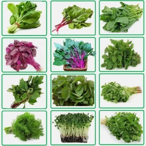 Bangladeshi-Indian-Leafy-Greens-Kolmi-Pui-Spinach-Lal-Pat-Mula-Shak-Veg-Seeds